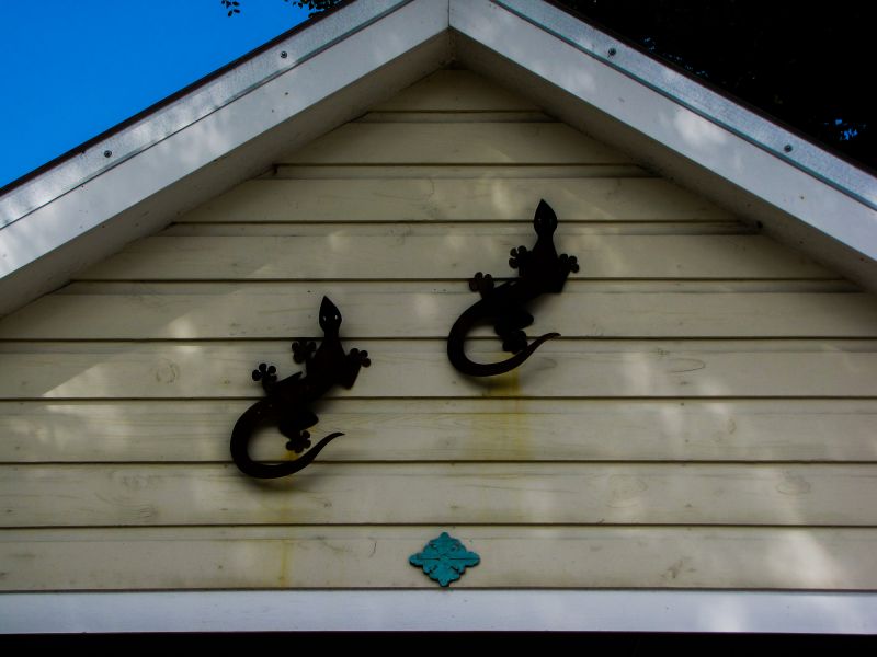 Shiplap Installation